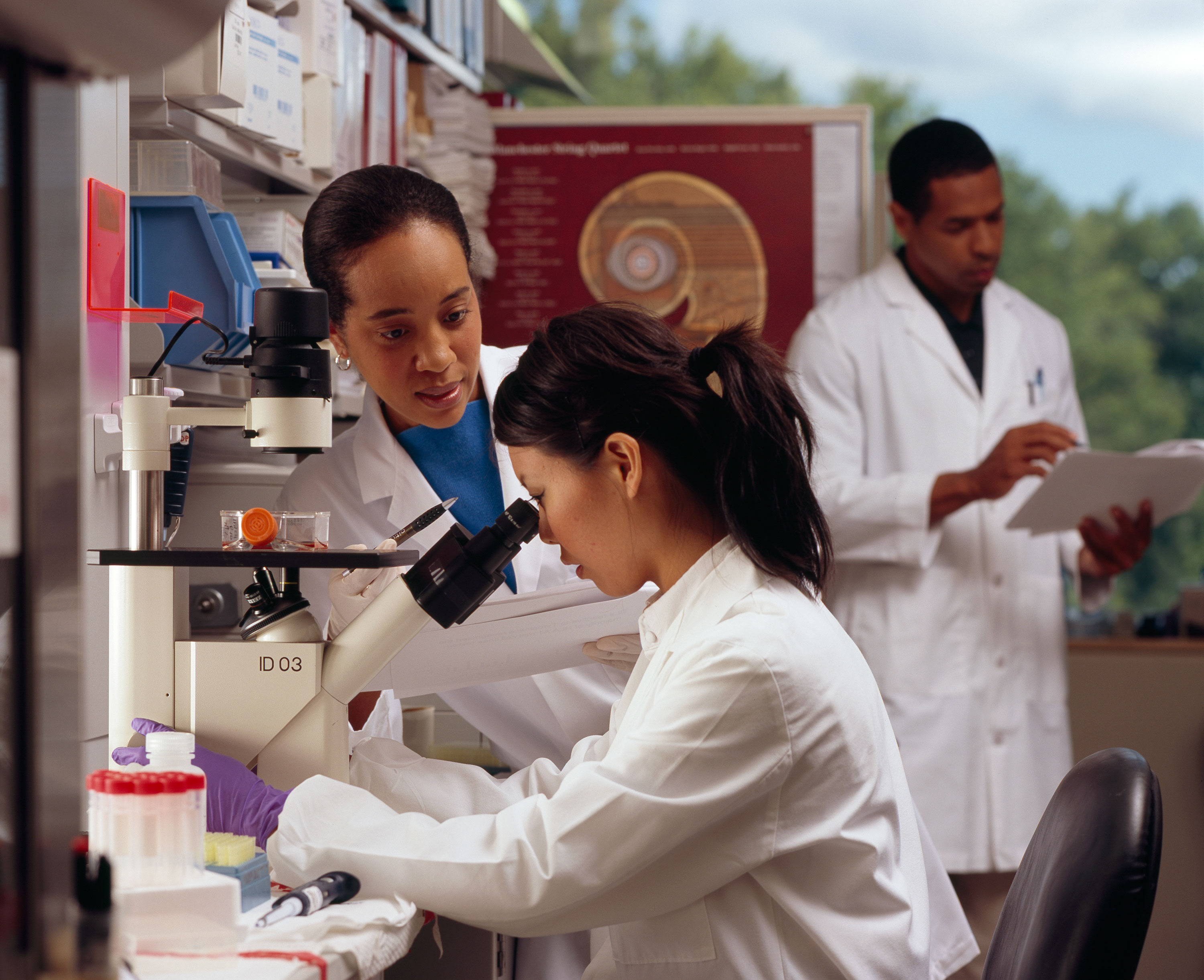 Researchers working together at a microscope, with a colleague reviewing paperwork behind them.